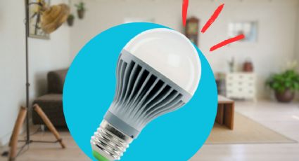 Esta es la mejor marca de focos ahorradores de energía, según la Profeco