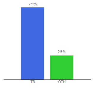 Top 10 Visitors Percentage By Countries for takipciking.com